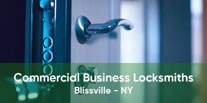 Commercial Business Locksmiths Blissville - NY
