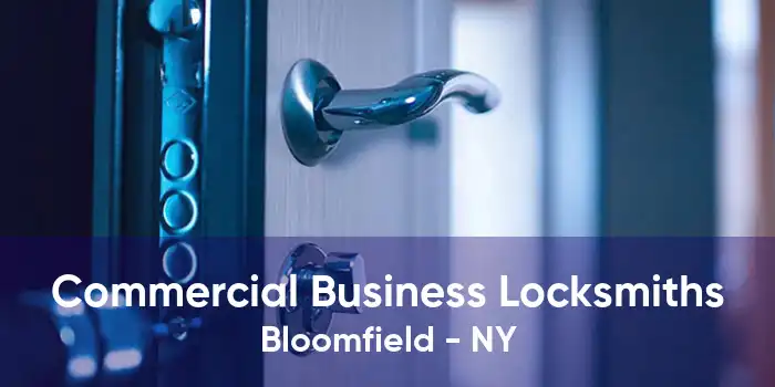 Commercial Business Locksmiths Bloomfield - NY