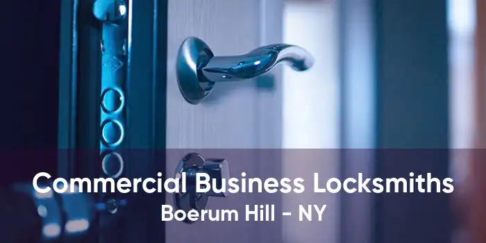 Commercial Business Locksmiths Boerum Hill - NY