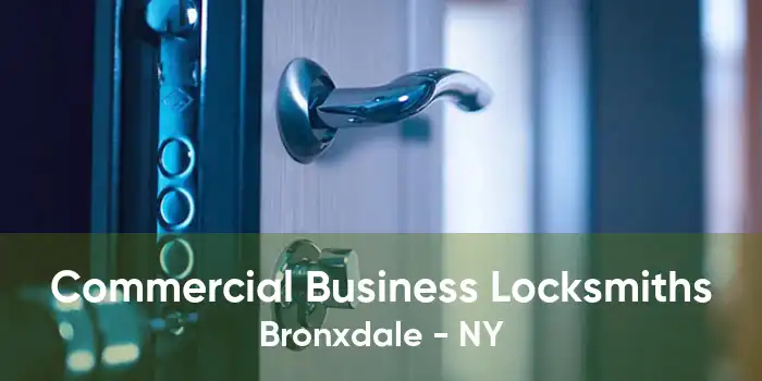 Commercial Business Locksmiths Bronxdale - NY