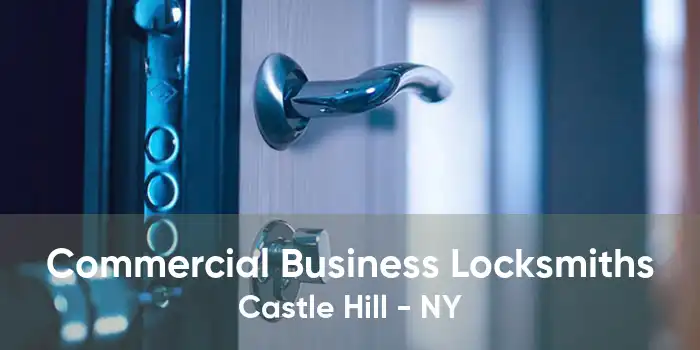 Commercial Business Locksmiths Castle Hill - NY