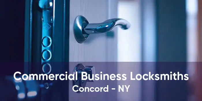 Commercial Business Locksmiths Concord - NY