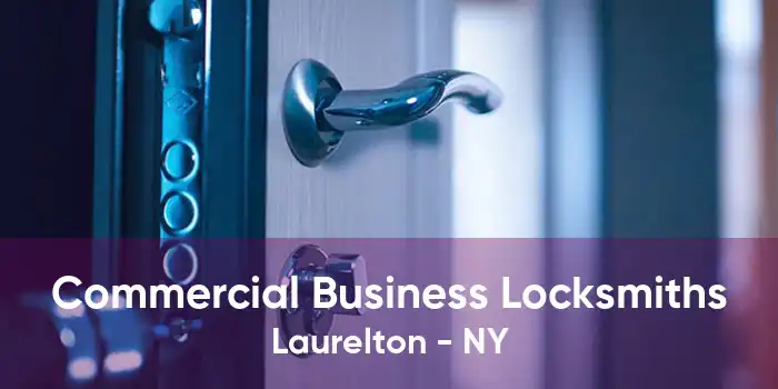 Commercial Business Locksmiths Laurelton - NY