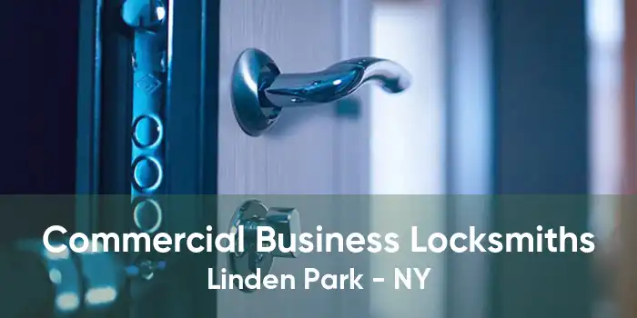 Commercial Business Locksmiths Linden Park - NY