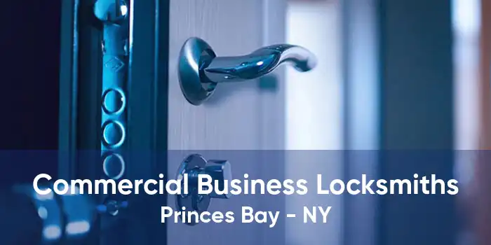 Commercial Business Locksmiths Princes Bay - NY