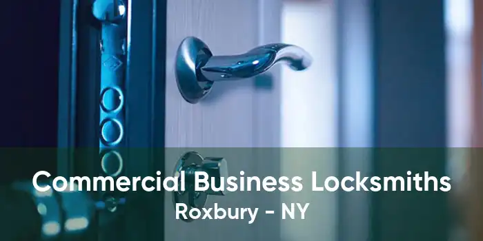 Commercial Business Locksmiths Roxbury - NY