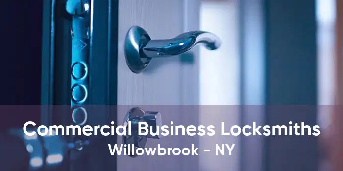 Commercial Business Locksmiths Willowbrook - NY