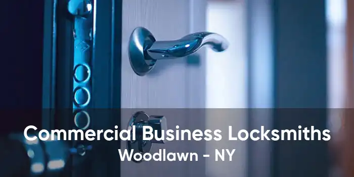 Commercial Business Locksmiths Woodlawn - NY