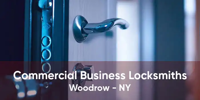 Commercial Business Locksmiths Woodrow - NY