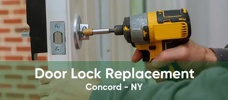 Door Lock Replacement Concord - NY