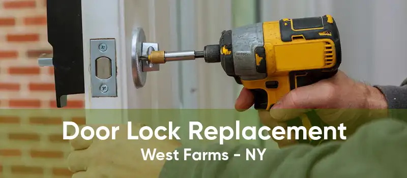 Door Lock Replacement West Farms - NY