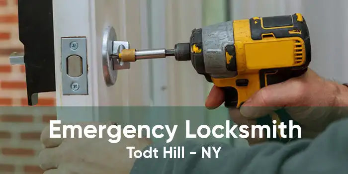 Emergency Locksmith Todt Hill - NY