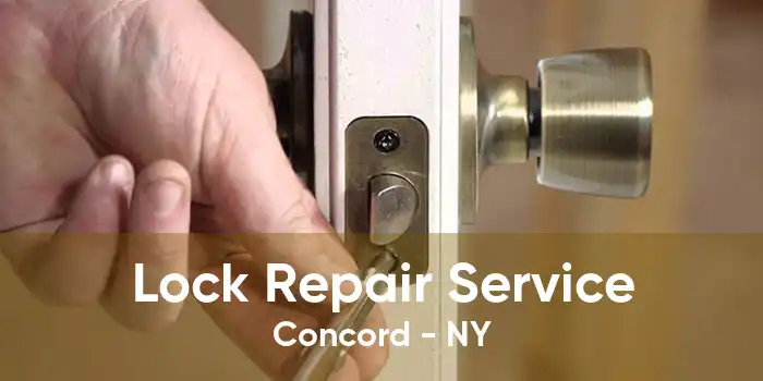 Lock Repair Service Concord - NY