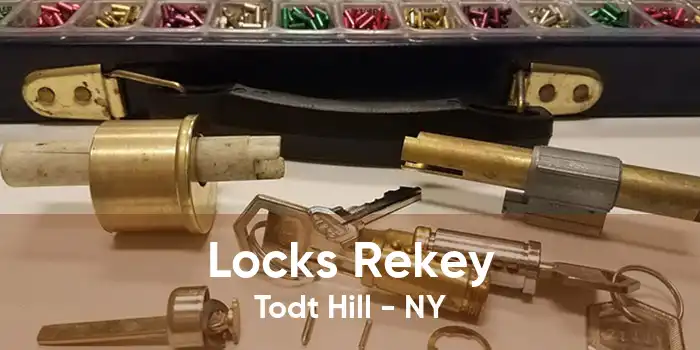 Locks Rekey Todt Hill - NY