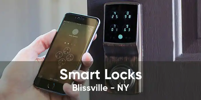 Smart Locks Blissville - NY