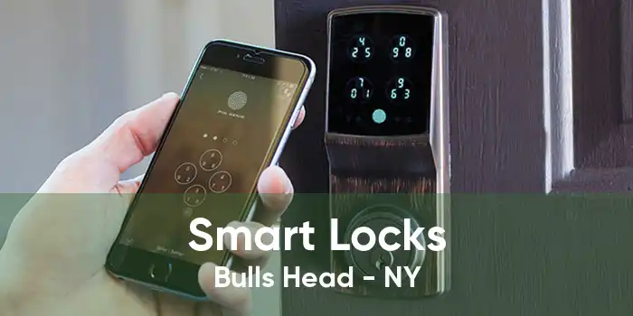 Smart Locks Bulls Head - NY