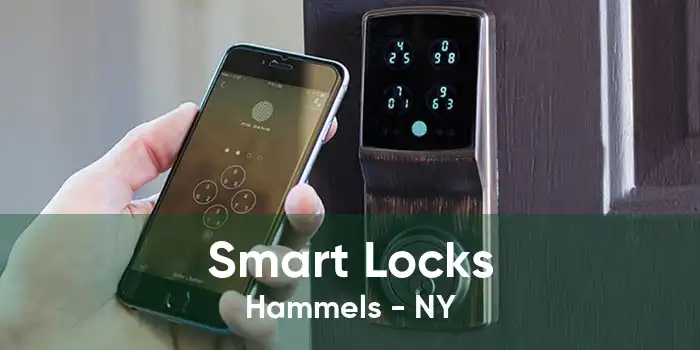 Smart Locks Hammels - NY