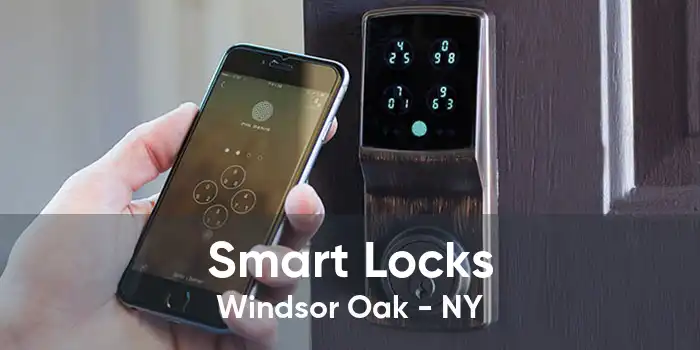 Smart Locks Windsor Oak - NY